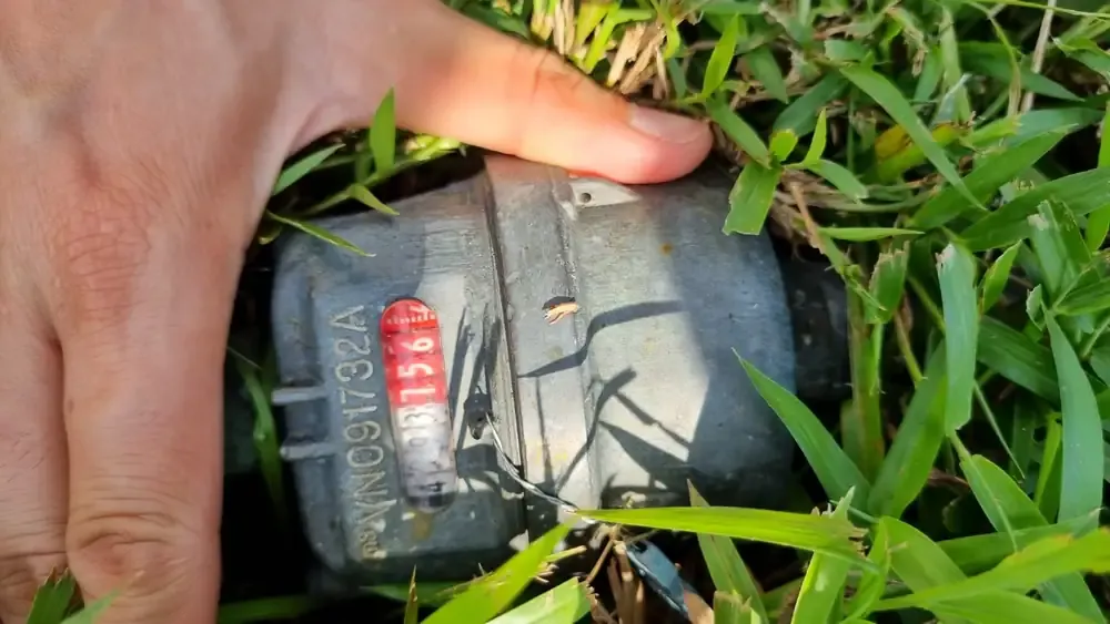 Hand exposing a water meter in grass during a field inspection